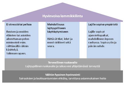 Papukaija voi hyvin