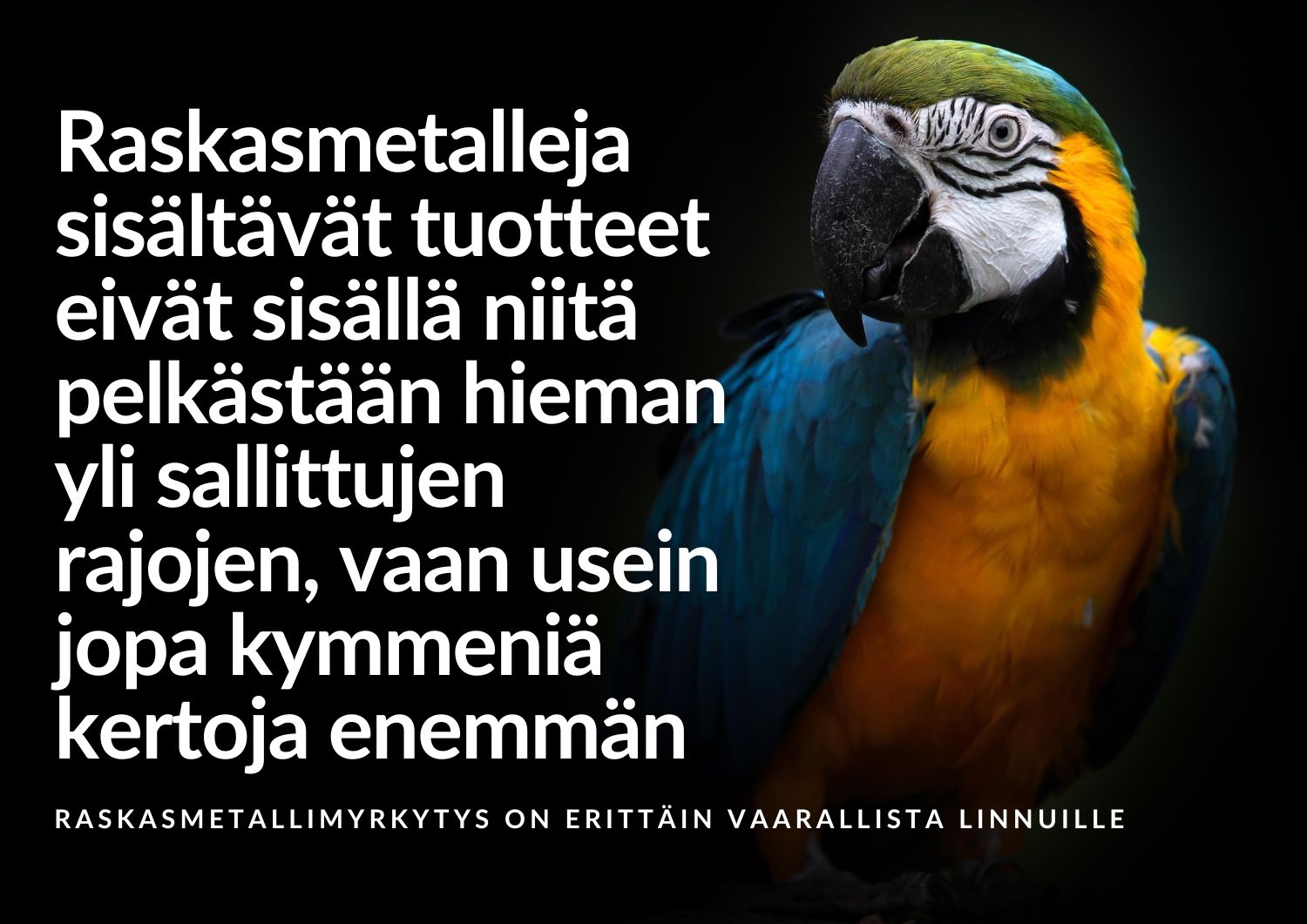 “Kuva,