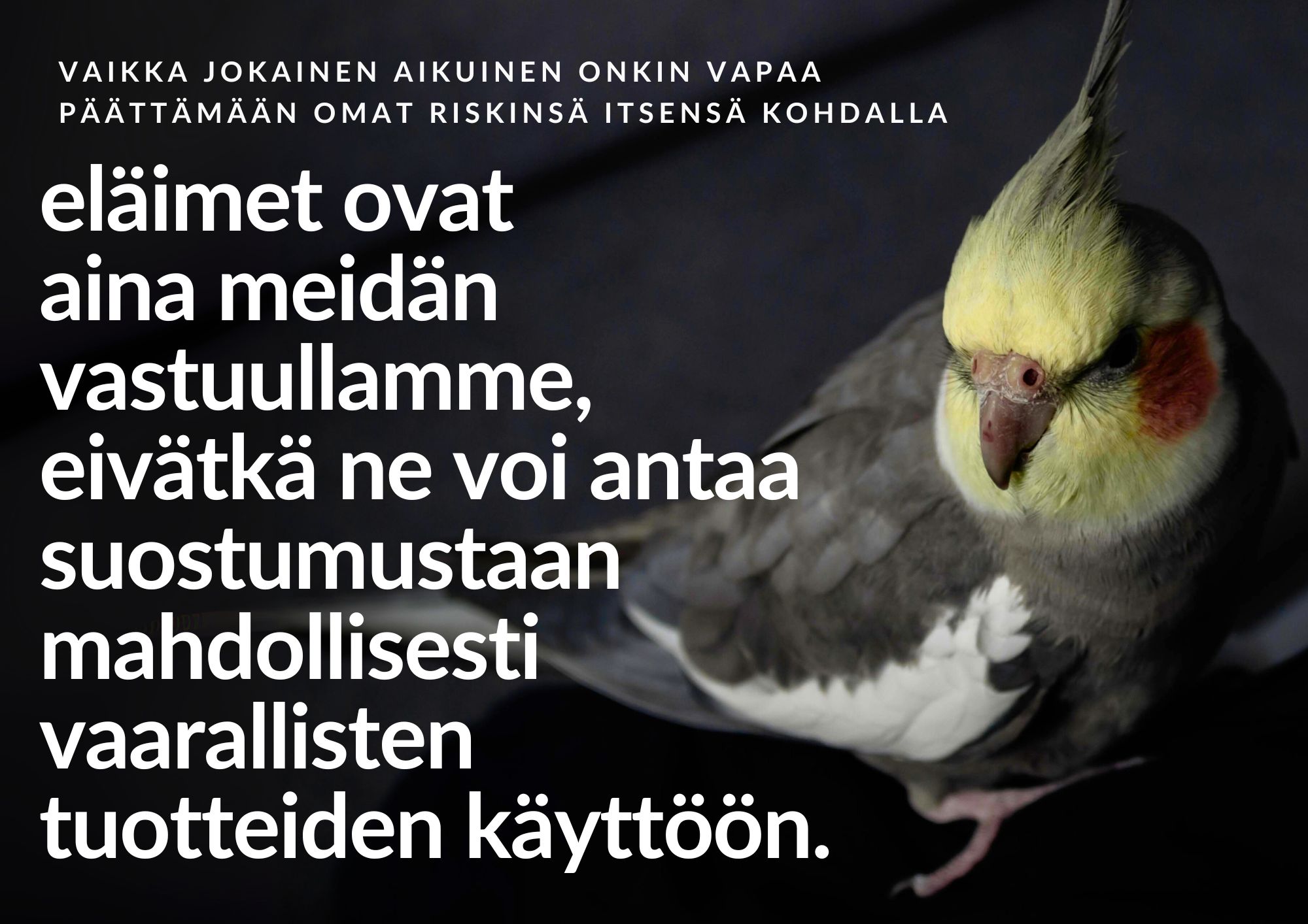 “Kuva,