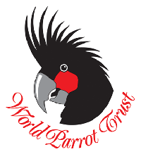 WPT Logo